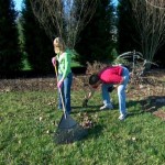 Clean up the leaves that fell on your lawn after your cleanup last fall