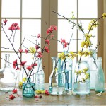 Cut and bring indoors branches like quince and forsythia for forcing