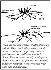 Freeze-thaw cycle