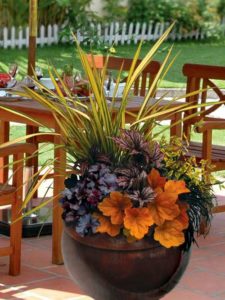 Freshen up your containers for fall with heucheras and grasses - not mums