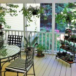 Why not give your houseplants a summer vacation on the porch?