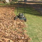 Help your lawn by mulch-mowing autumn leaves directly back into your lawn