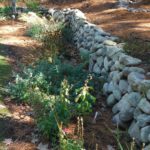 In earlier years, this perennial border would have been cut to the ground. Not any longer.