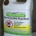 Liquid Fence contains putrefied eggs and garlic - effective deer repellents