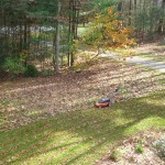 Mowing leaves into the lawn rather than raking adds nutrients to the soil