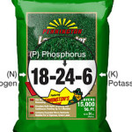 Phosporous is the middle number in bags of fertilizer. Massachusetts law forbids the use of phosporous on lawns unless a soil test shows a need.