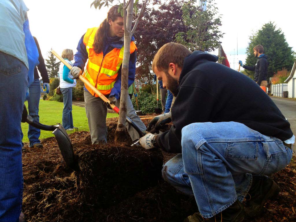 Planting a tree on Arbor Day Betty on Gardening