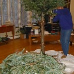 The branches from your Christmas tree make an excellent ground cover (and cutting the tree up indoors makes it easier to get outside!)