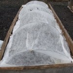 Floating row covers like this one will both protect from spring insects and chilly nights that can stunt the growth of your annuals and vegetables.