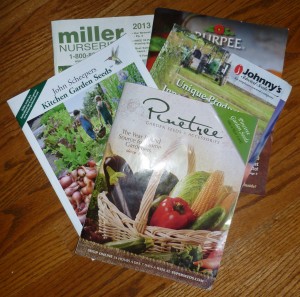 How to Read a Seed Catalog